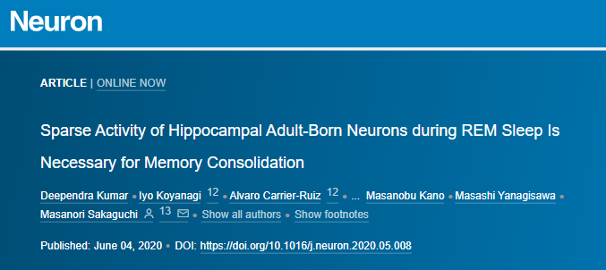 首次揭示成年新生神經(jīng)元在動(dòng)物睡眠中的活動(dòng)和功能